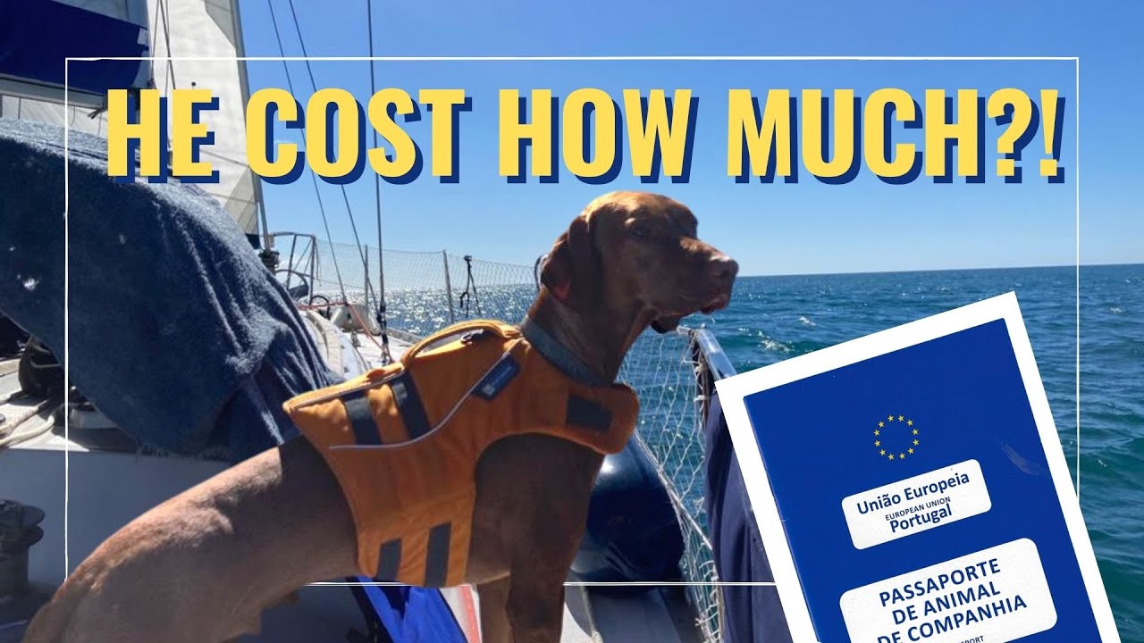 E30 Sailing with our dog (hidden costs, pet passport, red tape)