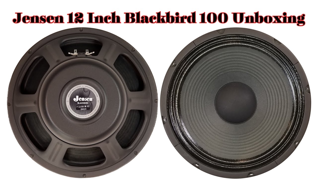 Jensen Blackbird JP12-100BB Alnico Speaker Unboxing