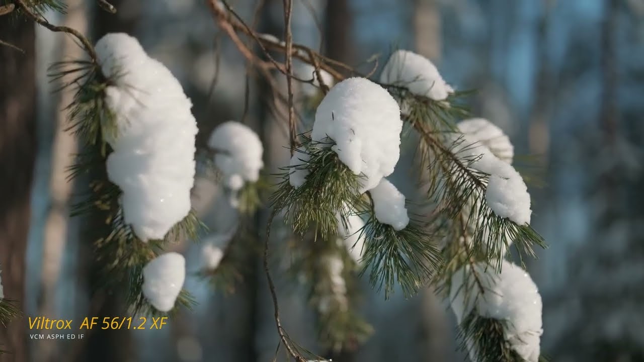  Мой новый объектив. Природа в красках.             