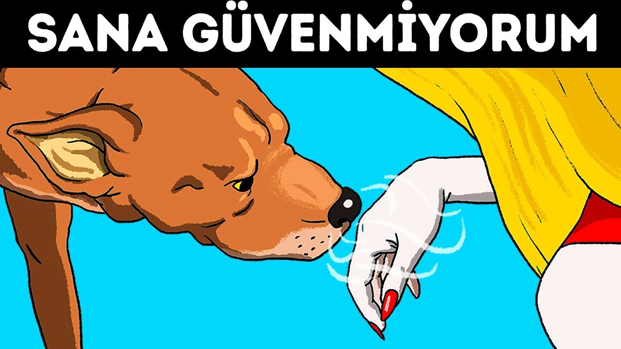 Bilim, Köpeklerin Kötü İnsanları Ayırt Edebildiğini Doğruladı