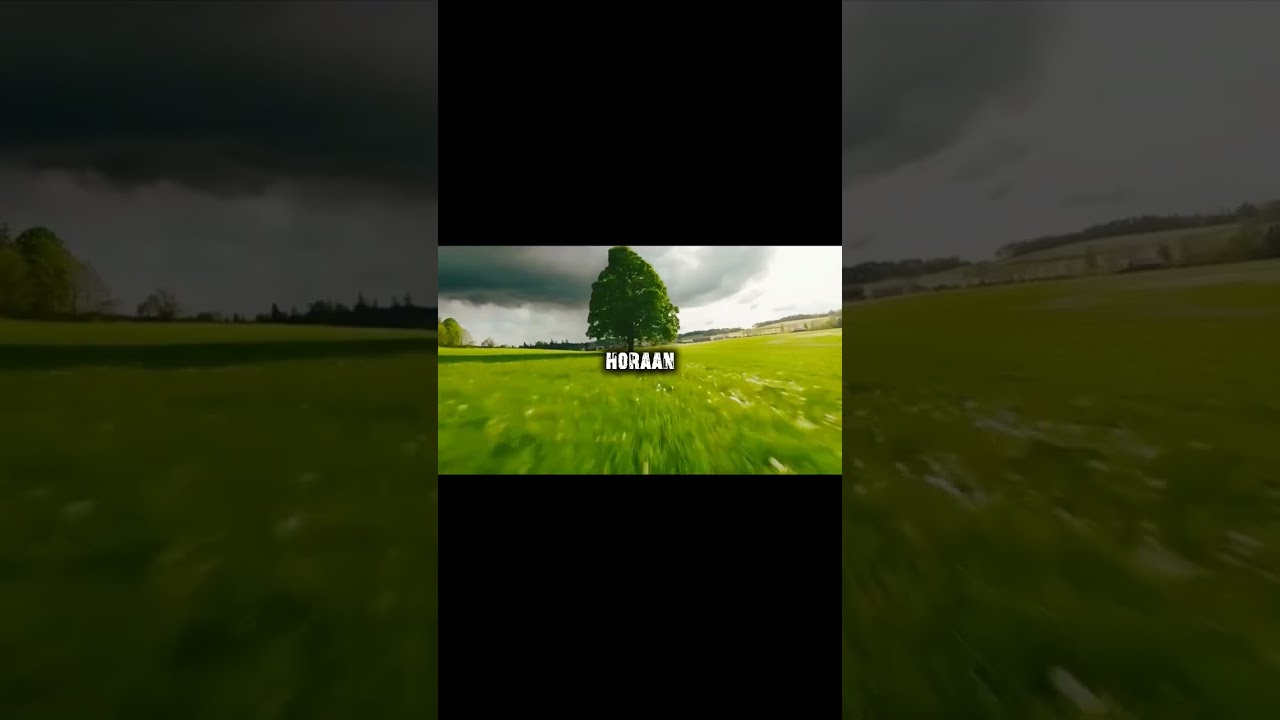"Haseen" by Talwiinder - Aesthetic Nature Visuals ✨ | 