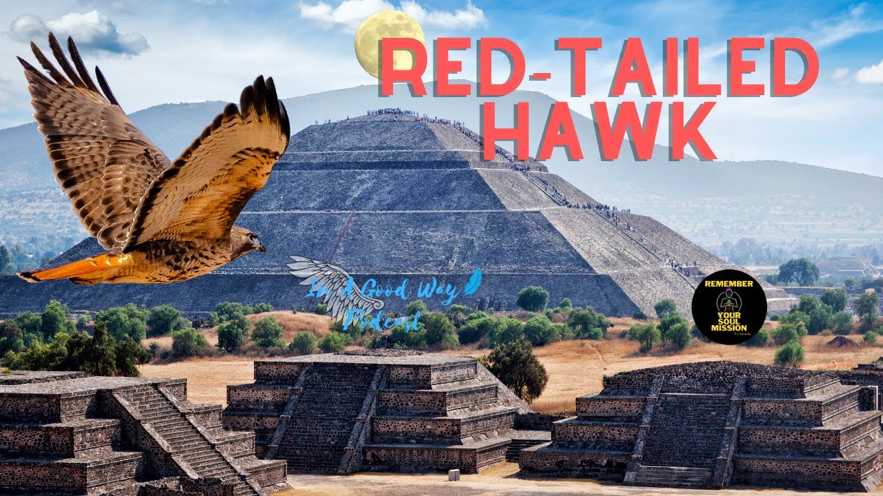 Red-Tailed Hawk - Guardian of Earth - Spirit Animal -Ted Andrews - Spirit Totem
