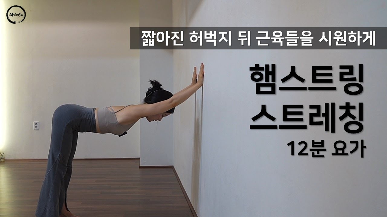 햄스트링 스트레칭 요가ㅣ허리에 데미지 최소화하고 전굴하기ㅣ아사나23