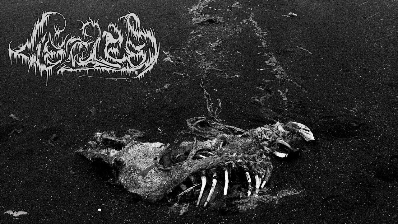 LISTLESS - selftitled [Full Album] (Depressive Black Metal)