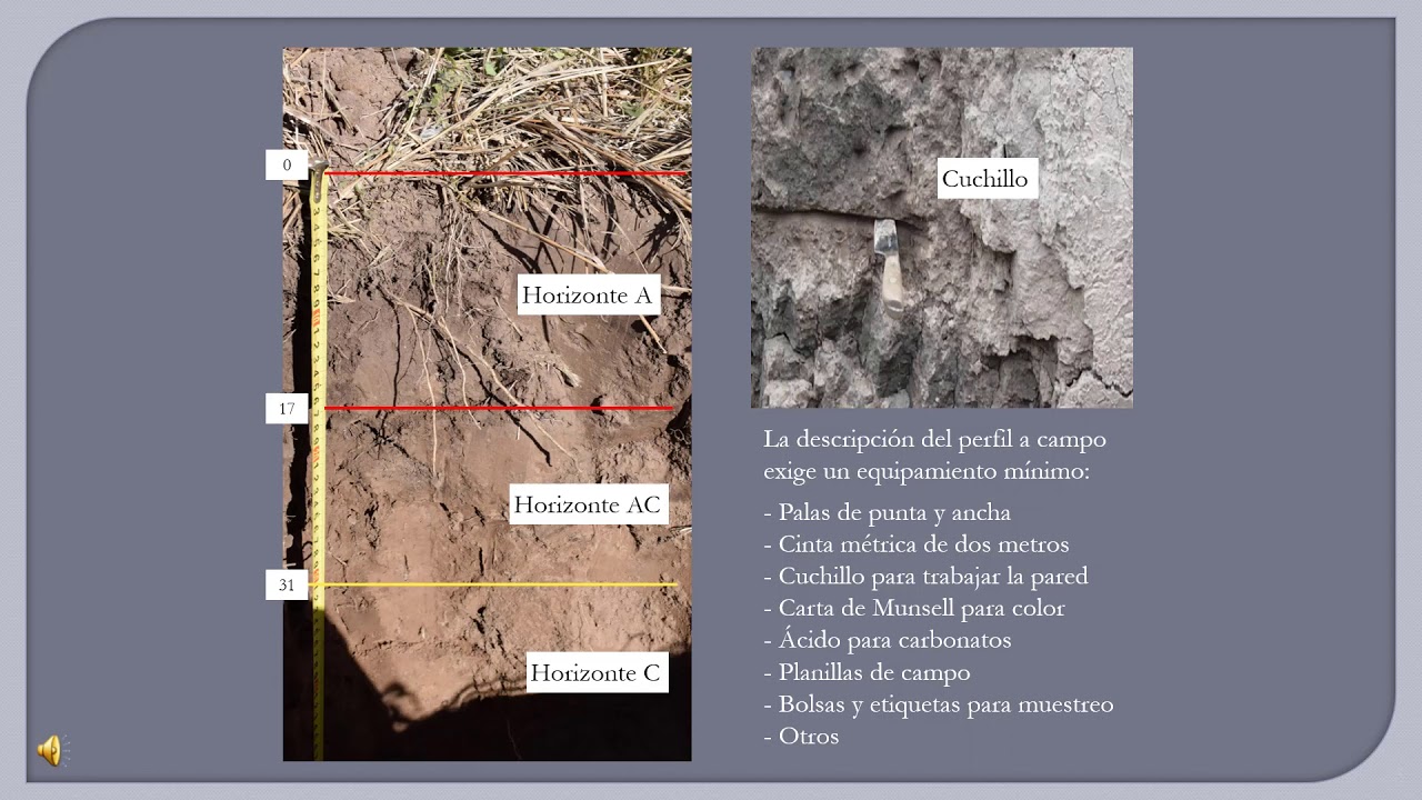 Edafolog&iacute;a: Perfiles y Horizontes parte 1