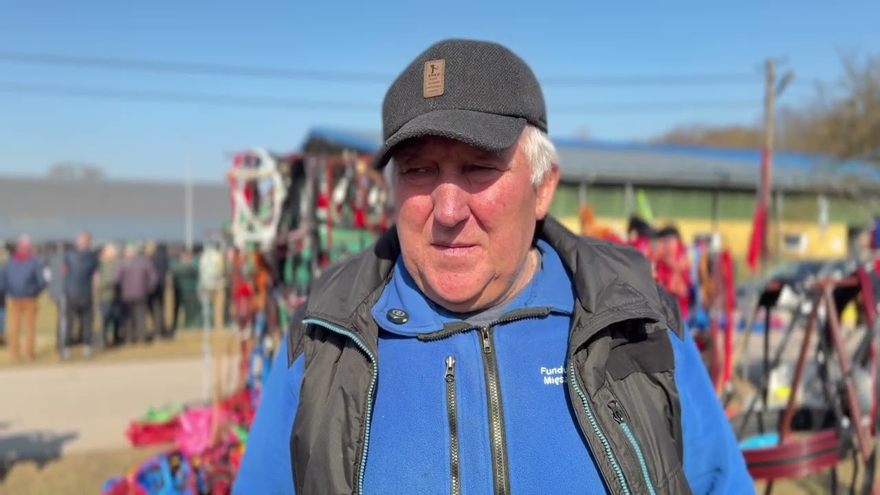 Spring stallion recognition in Szepietowo