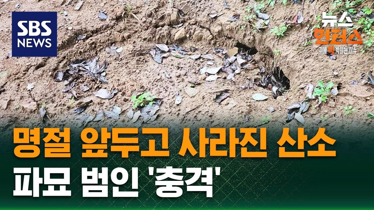 [사건X파일] 명절 앞두고 사라진 산소…파묘 범인 '충격' / SBS / 뉴스헌터스