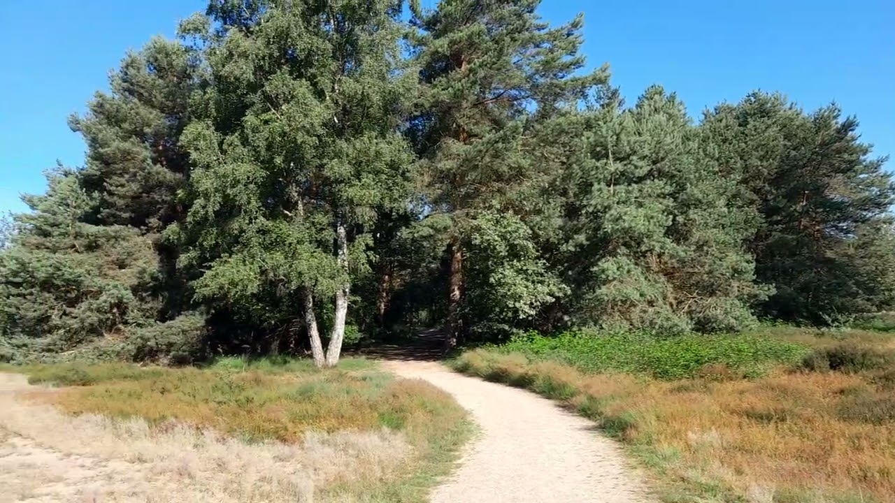 Het Eendenmeer in Nieuw Bergen, ook wel Meeuwenven genoemd