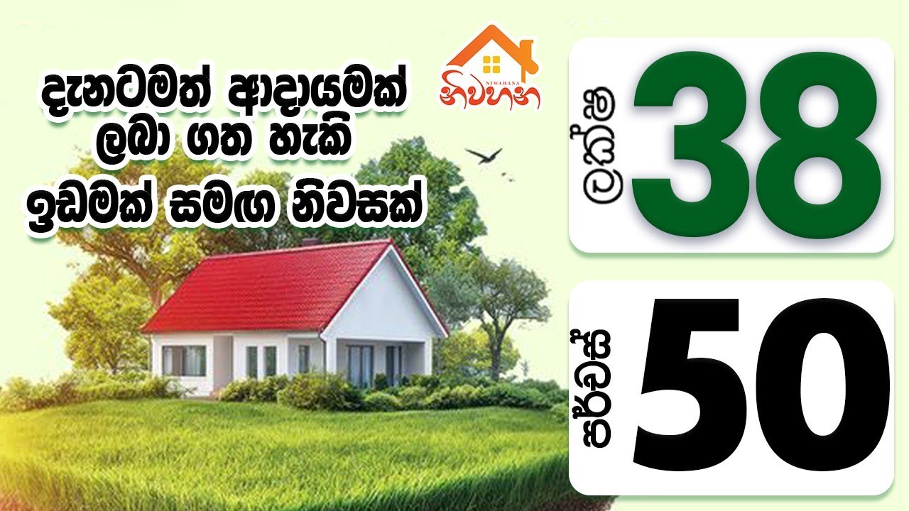 මෙම අවස්ථාව Miss කරගන්න එපා | ඉක්මන් කරන්න
