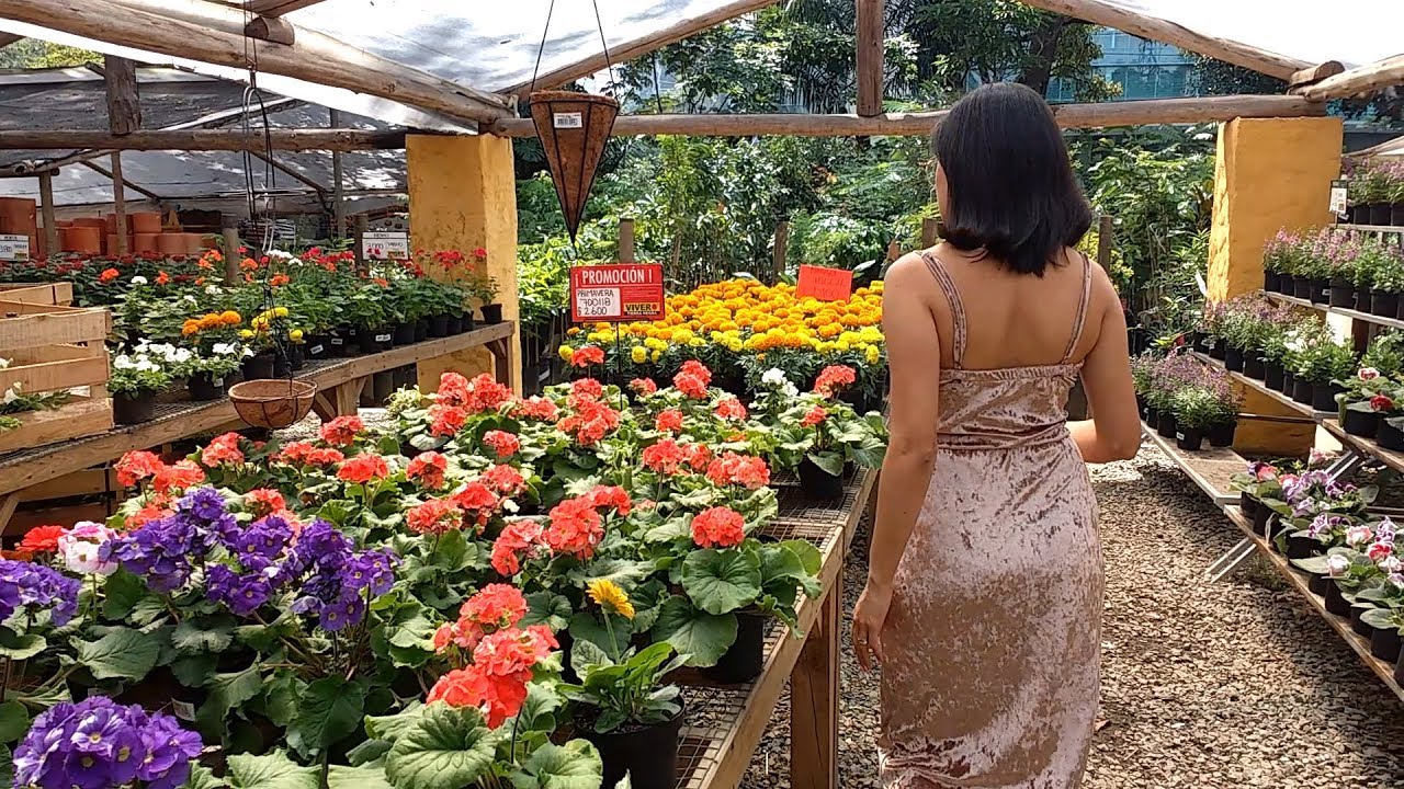 Tour por el vivero Tierra Negra Poblado | Candy Bu