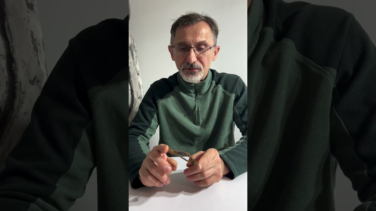 Om&oacute;wienie znalezionego zabytku 🙂👌 #history #metaldetecting #life #pasja  #hobby 🙂