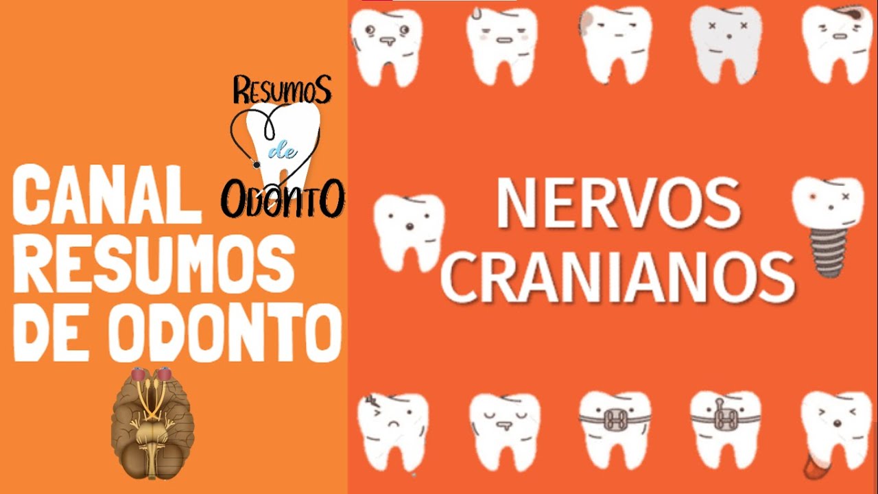 Nervos Cranianos | Resumos de Odonto