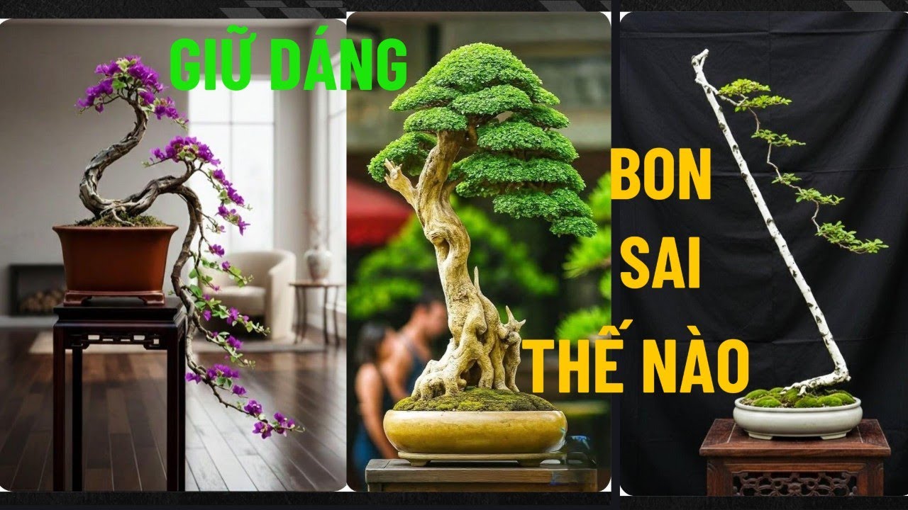Bí Quyết Giữ Dáng Bonsai Chuẩn Đẹp | Bấm Ngọn – Tỉa Chồi – Ngắt Lá Đúng Cách#taodangbonsai#cây cảnh