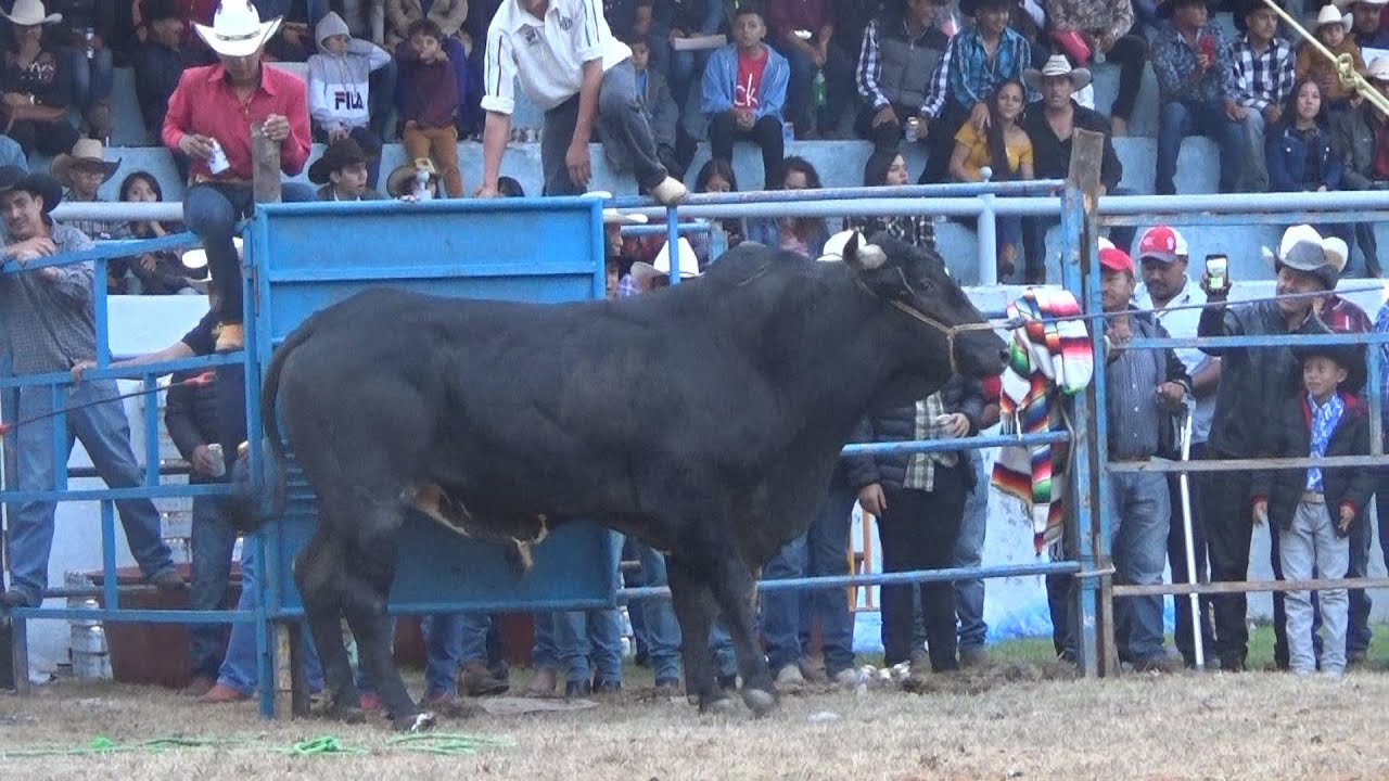 🔴 Jaripeo en Vivo BELLAS FUENTES MICHOACÁN Rancho LOS DOS CARNALES  26 diciembre 2025