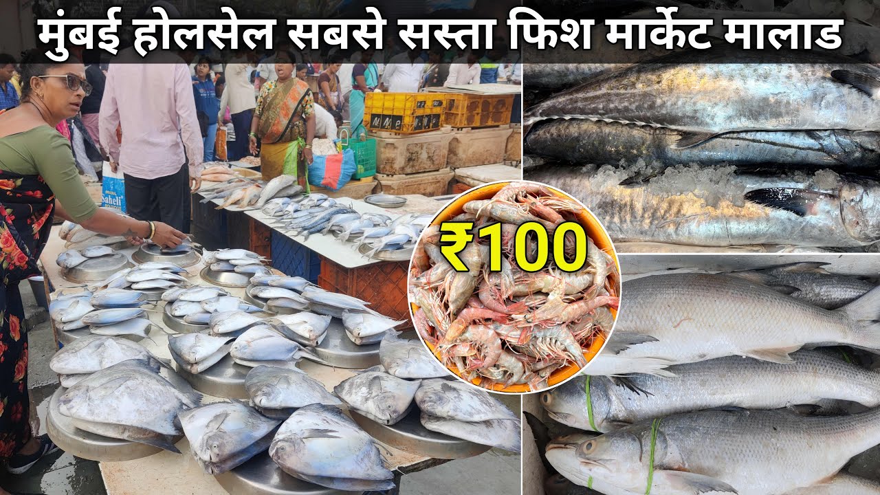 Malad Fish Market | Malad Wholesale Fish Market | Fish Market Malad  Wholesale Fish Market In Mumbai