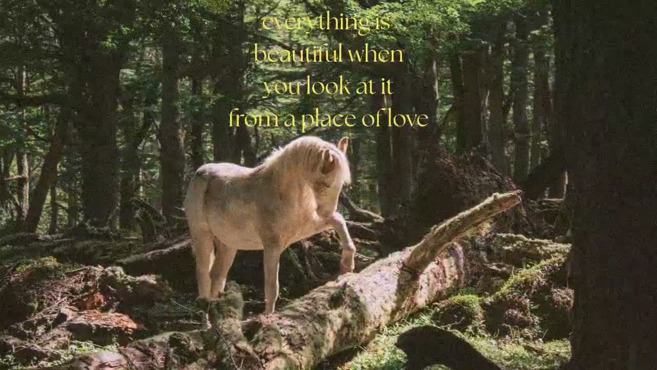 beauty surrounds me.