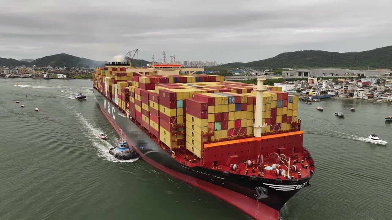 MSC C Montaine