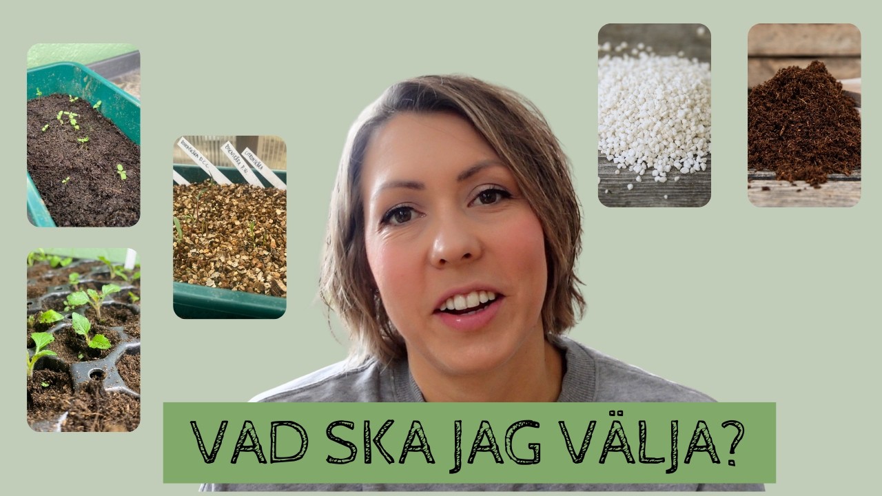 Jord, jord, jord - alla dessa begrepp! Såjord, planteringsjord, kokosjord, perlit och vermiculit