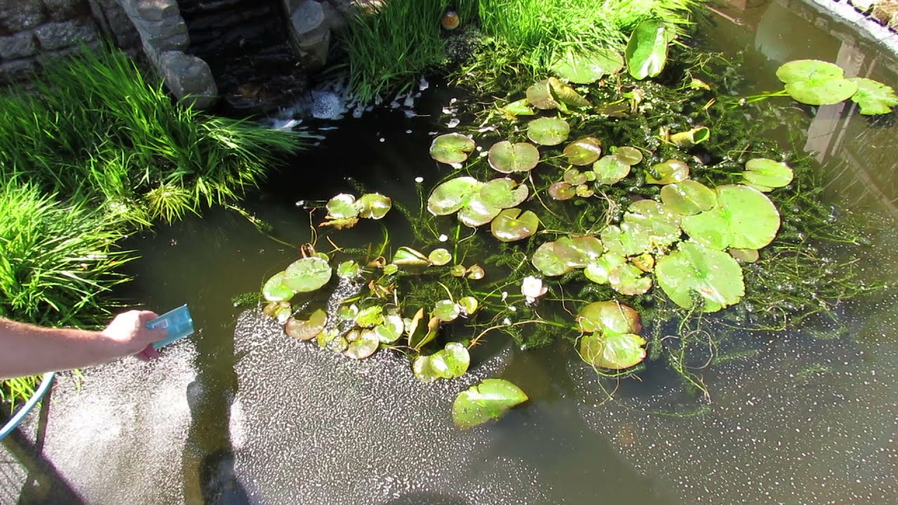 Part 2: How to remove algae and sludge from your pond - Blagdon Green Away + Sludge Buster Results