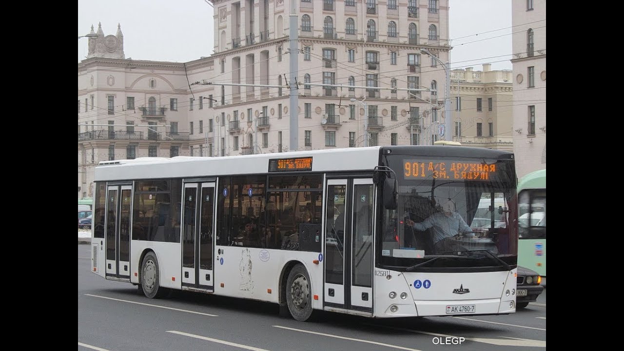 Автобус Минска МАЗ-203,гос.№ АК 4760-7 (15.10.2017)