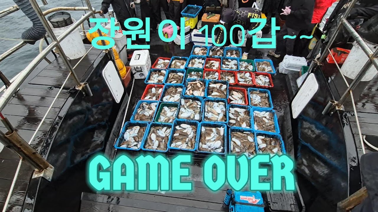 슬릭백으로 갑오징어 잡으러???? ~~ 회원님들과 동출~여명호에서~100갑하기???
