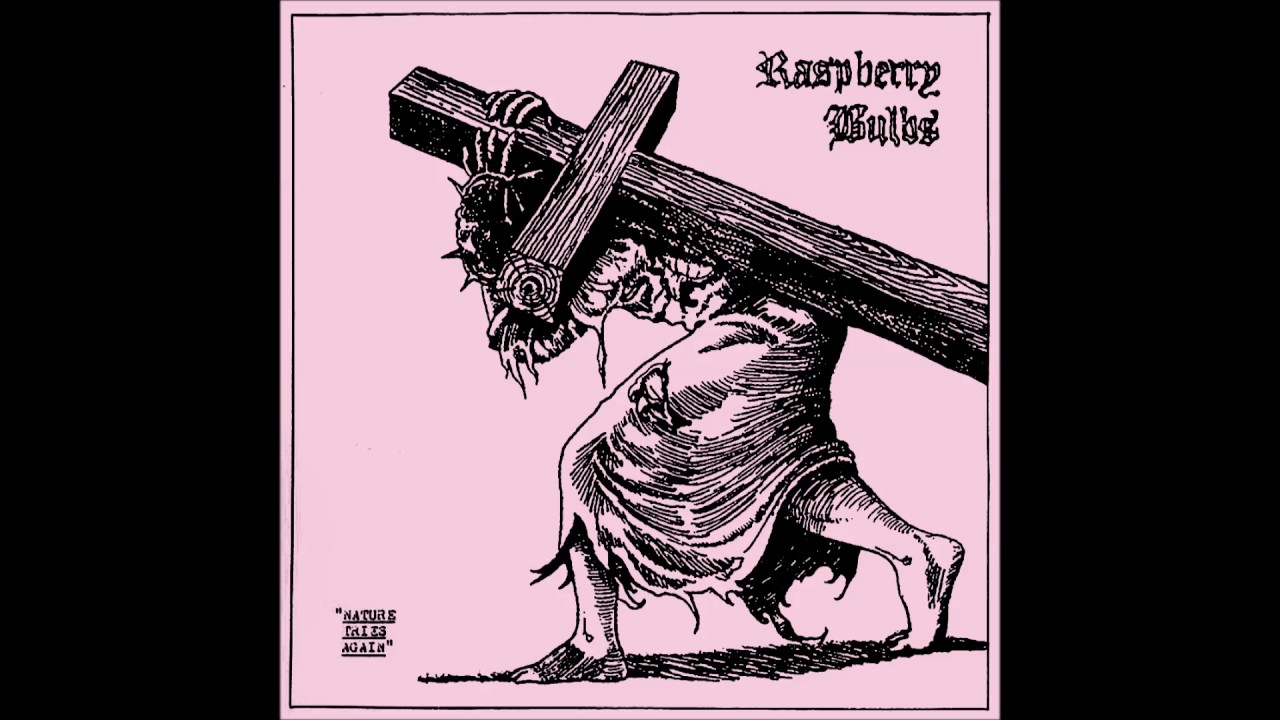 Raspberry Bulbs | Nature Tries Again LP [full]