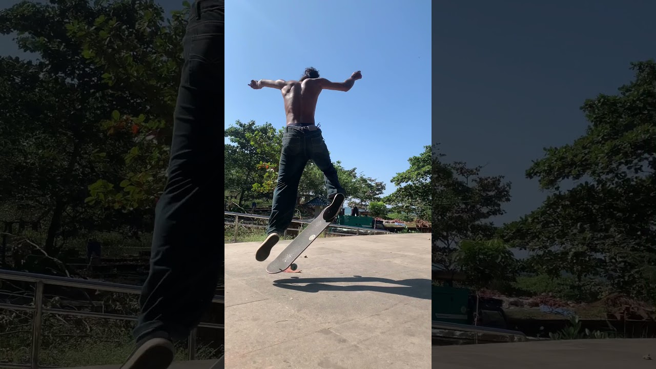 dolphin flip 