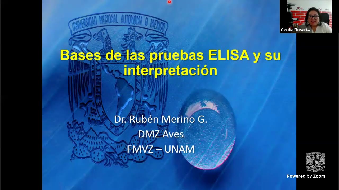 Bases de las pruebas ELISA y su interpretacion