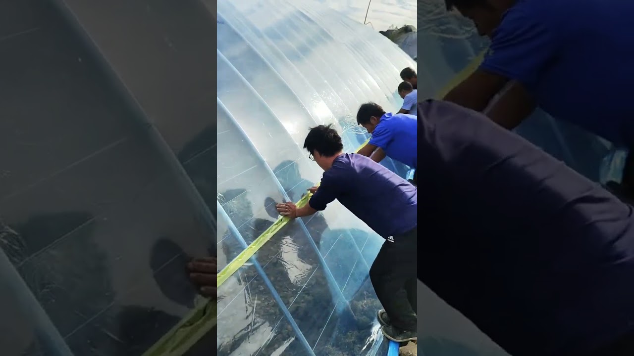 Building Greenhouse #satisfying #short