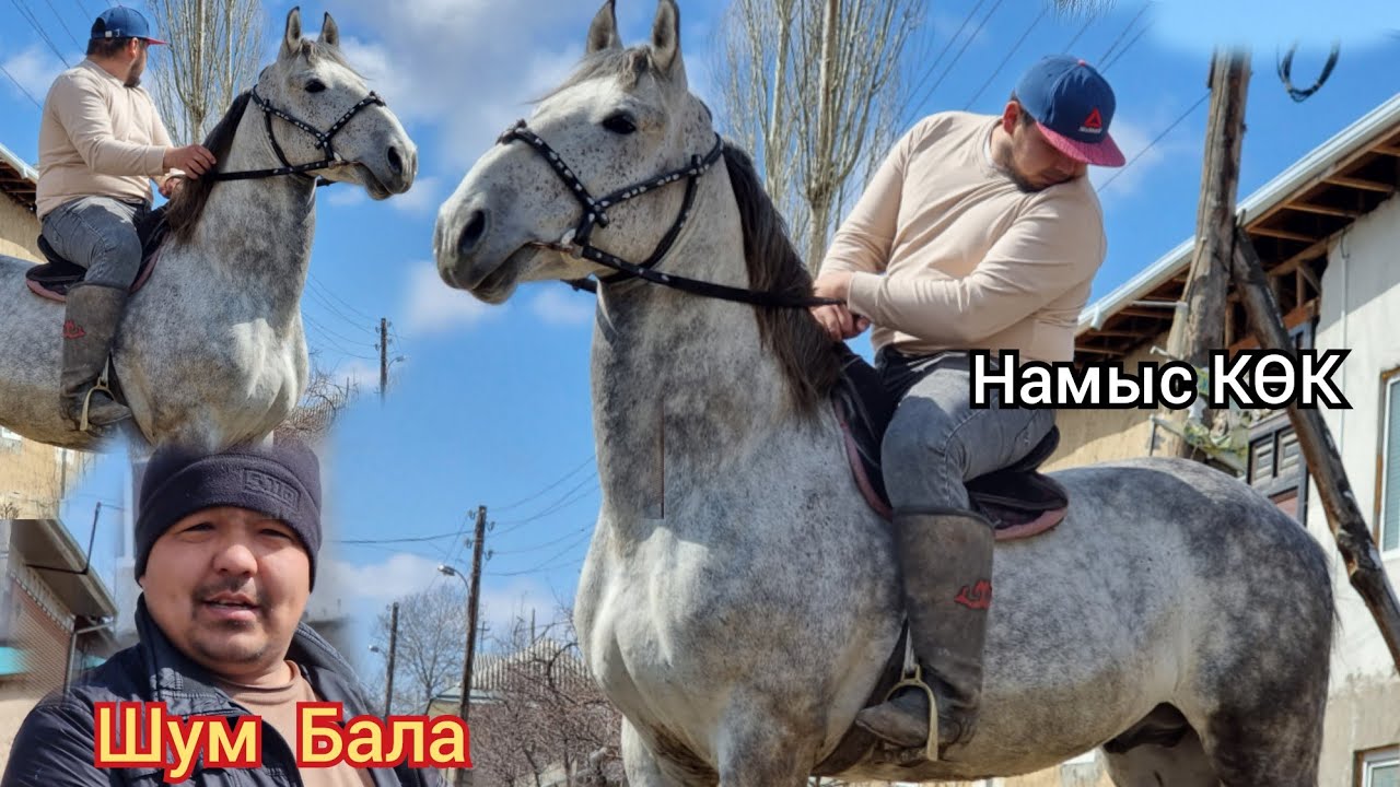 Шум балада Намыс КӨК   эми  Киного  Тартылып  жатам  дейт