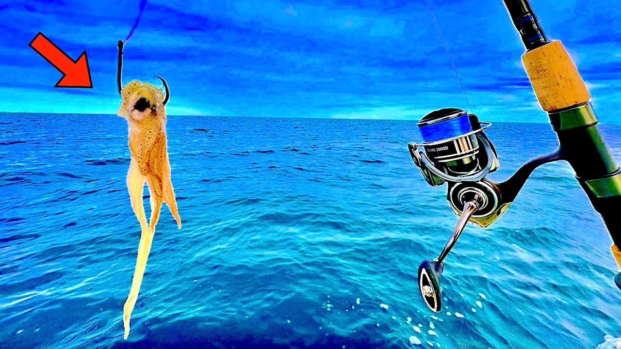 Fishing with SQUID for HUGE Fish Until my ARMS Were SORE!