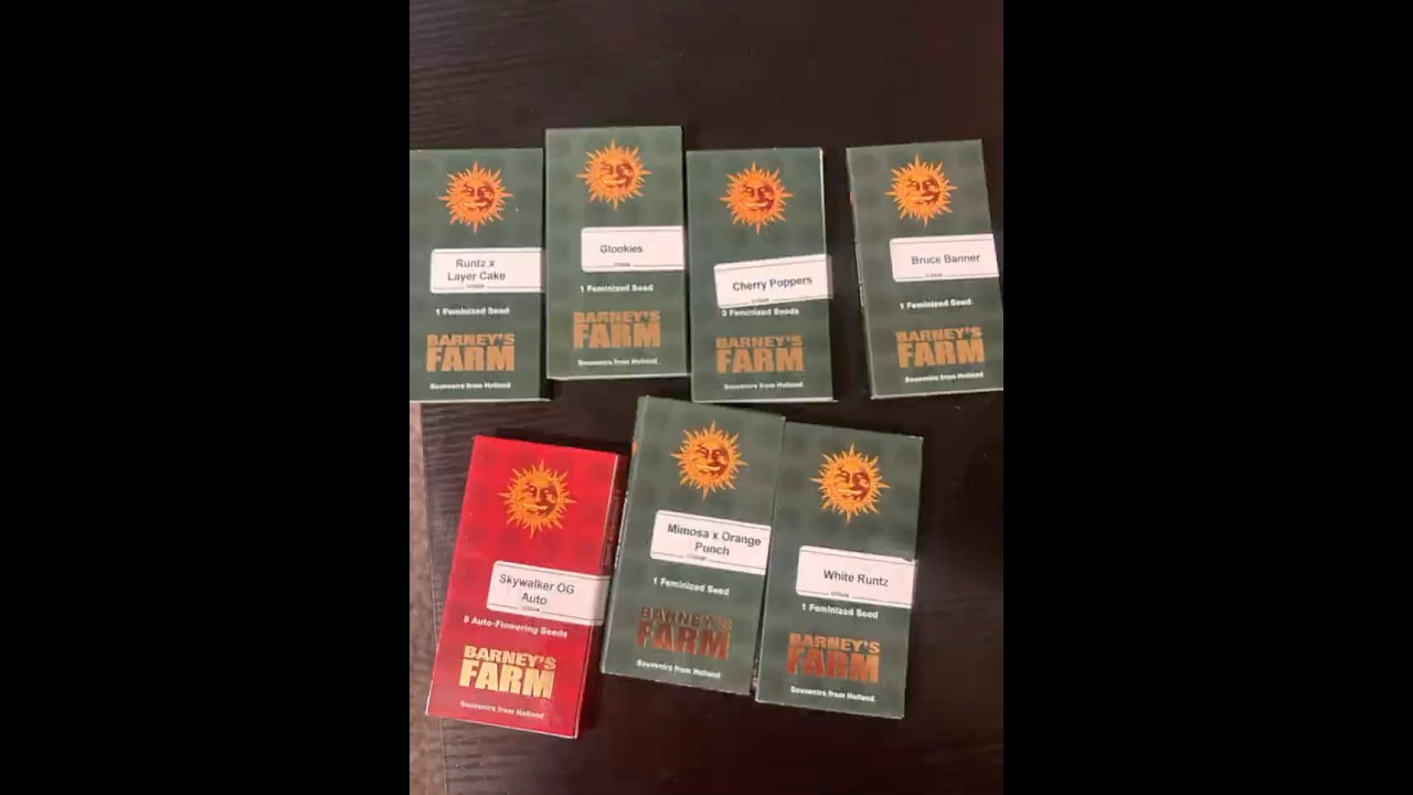 POV Unboxing. Barney&rsquo;s Farm