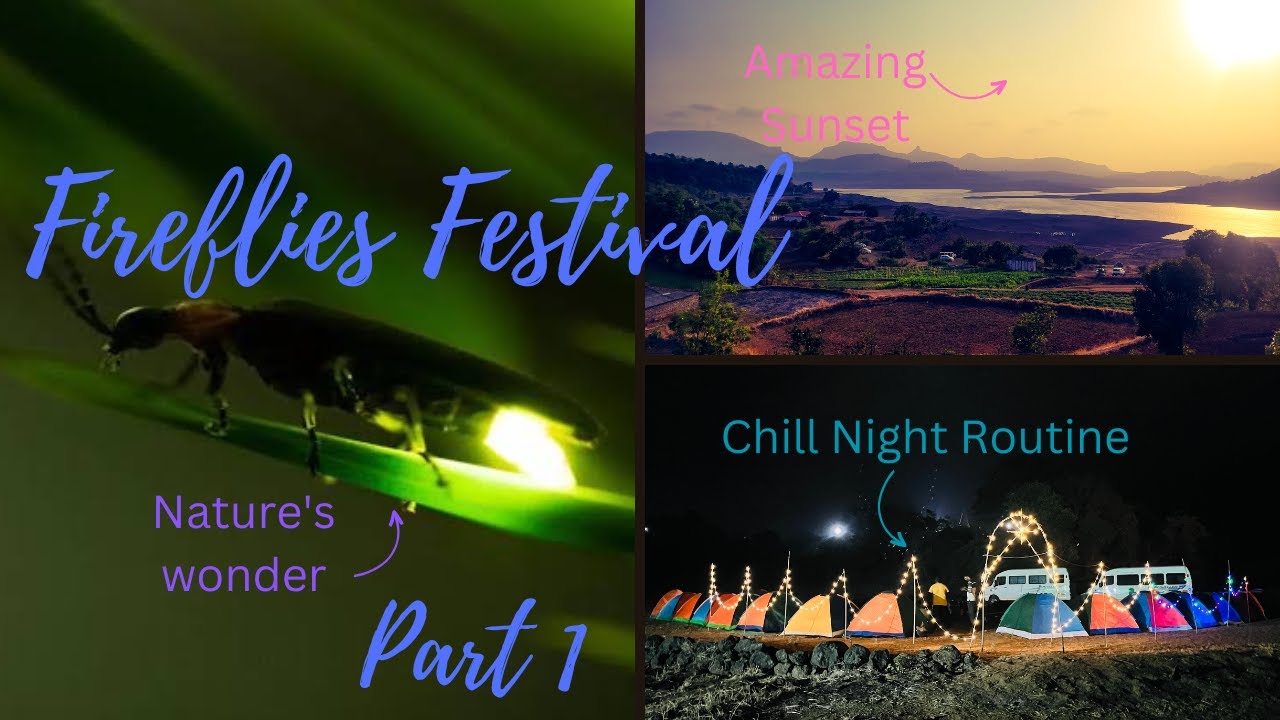 काजवा महोत्सव | निसर्गाचा अद्भुत चमत्कार| Bhandardara | Fireflies Festival 2024| Sandhan Valley |