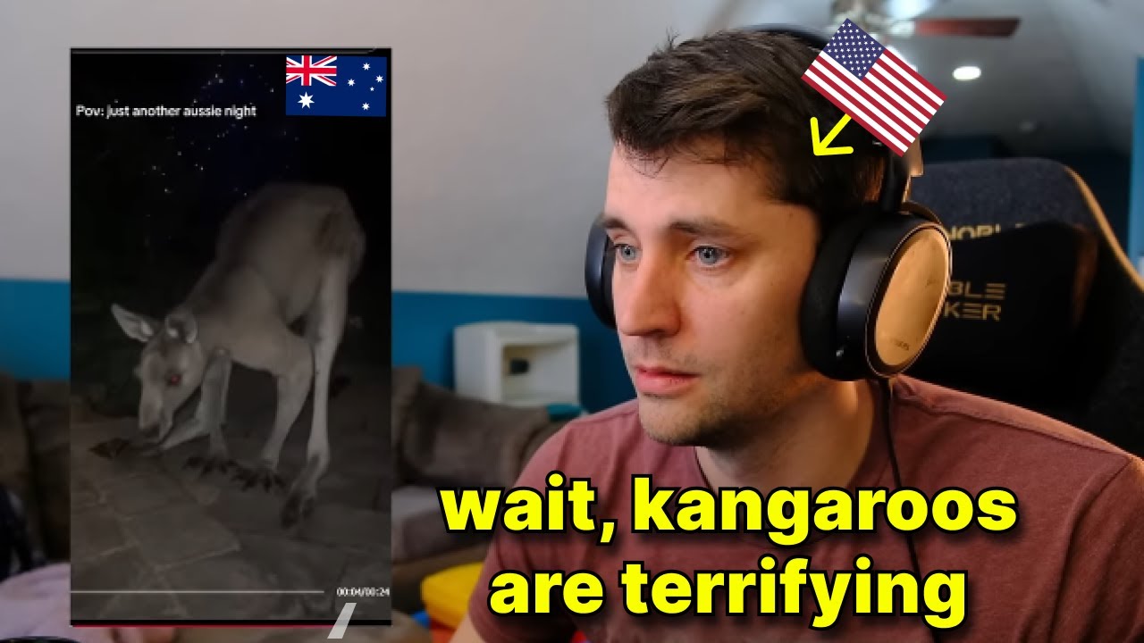 This kangaroo video is terrifying Americans including me