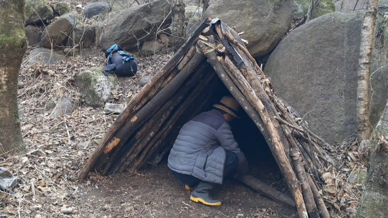 Alone in the Wild | Bushcraft Camping & Survival Shelter Build