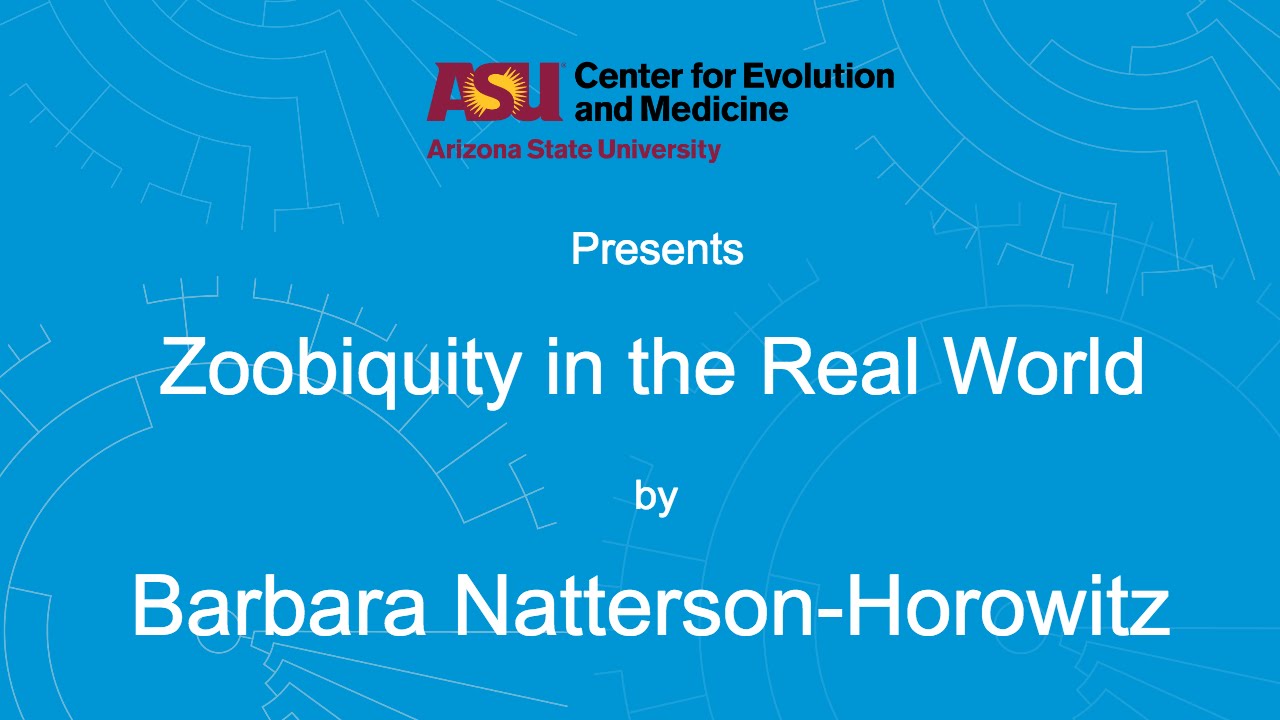 Zoobiquity in the Real World | Barbara Natterson-Horowitz