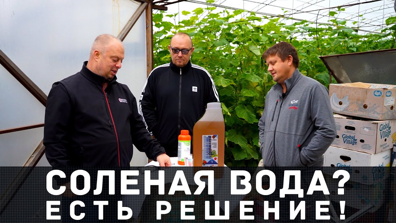 Решаем вопрос с соленой водой