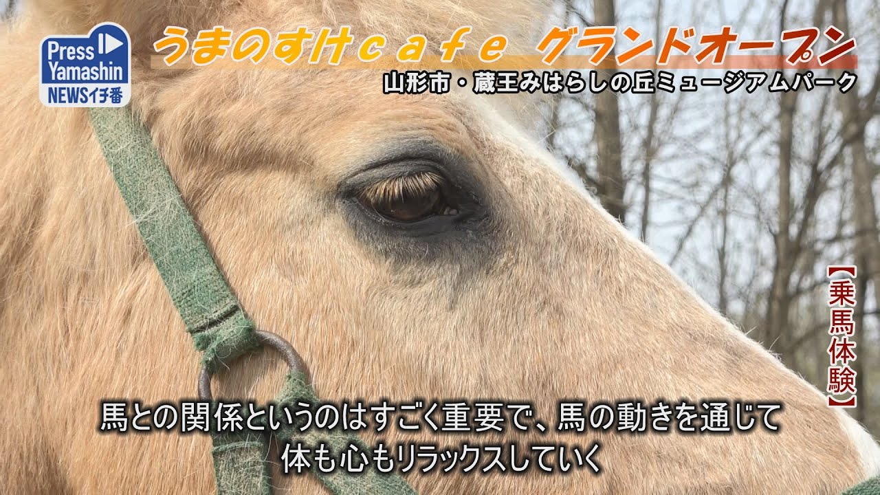うまのすけＣａｆｅ グランドオープン　山形市・蔵王みはらしの丘ミュージアムパーク