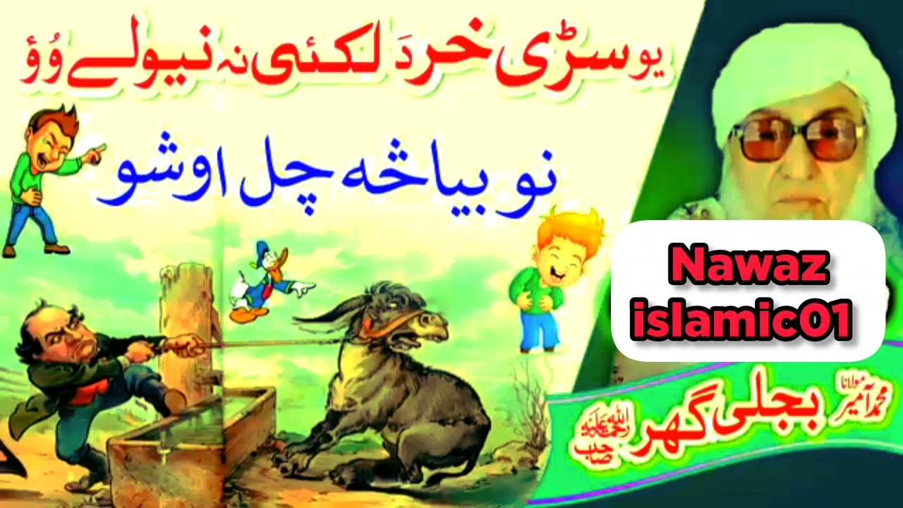 خر دَ لکئ نه نيول    Molana Bijligar   رحمۃاللہ علیہ#bayan #shorts #viral 