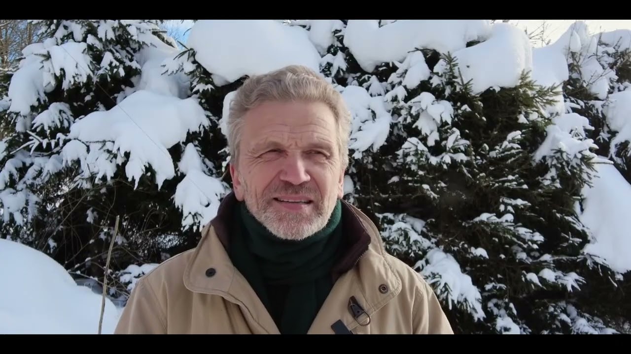 Paskutinėmis dienomis | Vytautas Kulšė