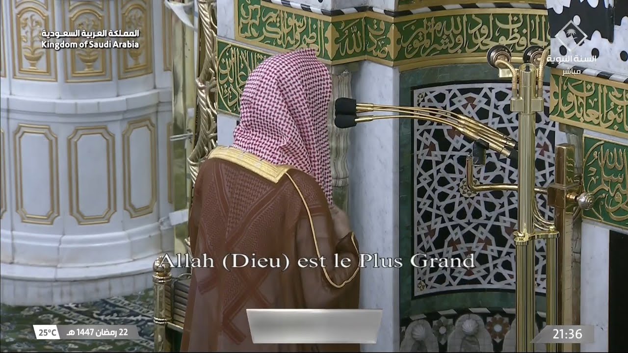 صلاة التراويح | ليلة ٢٣ رمضان ١٤٤٧هـ | الشيخ محمد برهجي | المسجد النبوي بالمدينة المنورة 