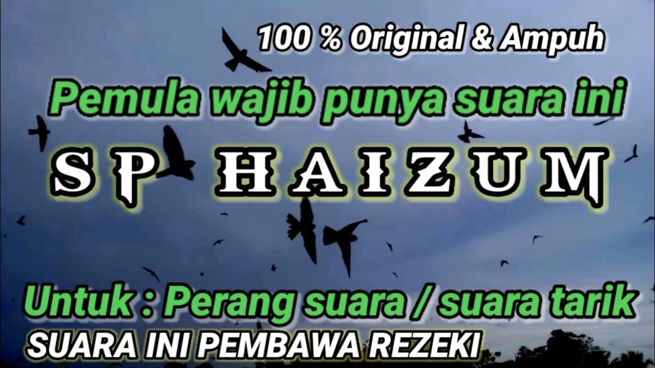 SP HAIZUM. suara walet ampuh, untuk suara panggil / suara tarik.