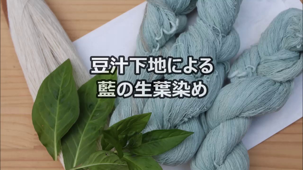 豆汁下地による藍の生葉染め