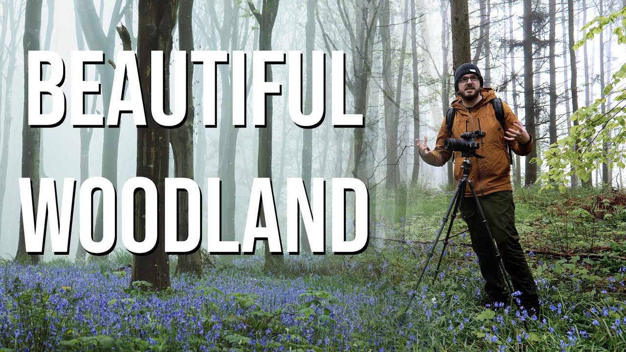 I LOVED these dreamy woodland conditions for misty bluebell photos