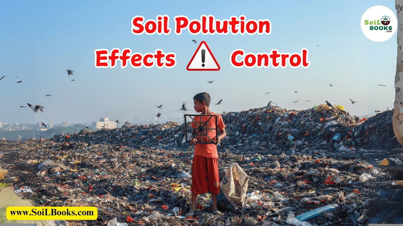 Soil Pollution Effects and Control &ndash; What You Need to Know! | Soil Pollution Effects | SoiL Books