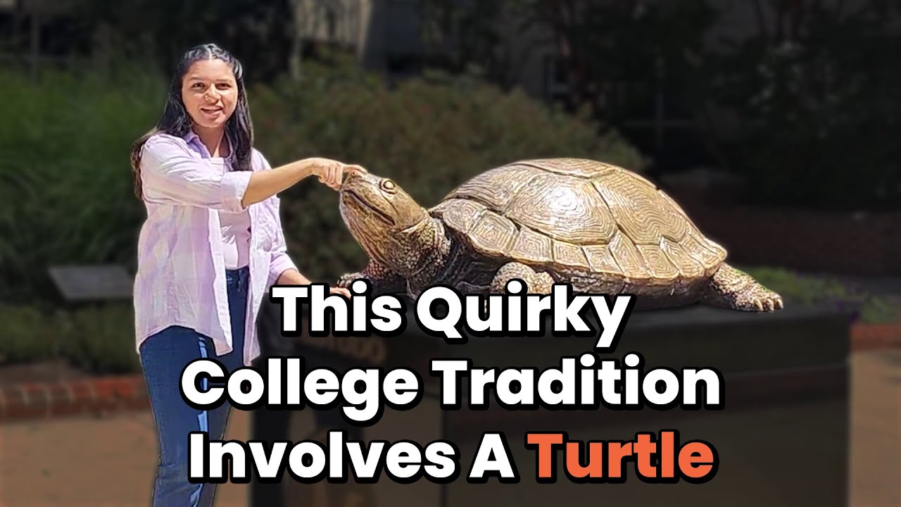 University of Maryland College Park Campus Tour | UnwrappED by GradRight
