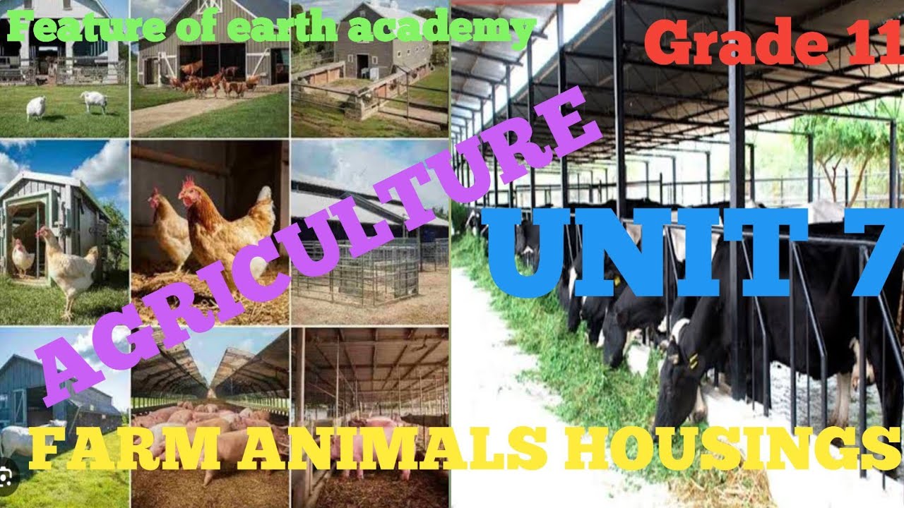 Grade 11 Agriculture unit 7 part 2, 7.2 Types of farm animal housing