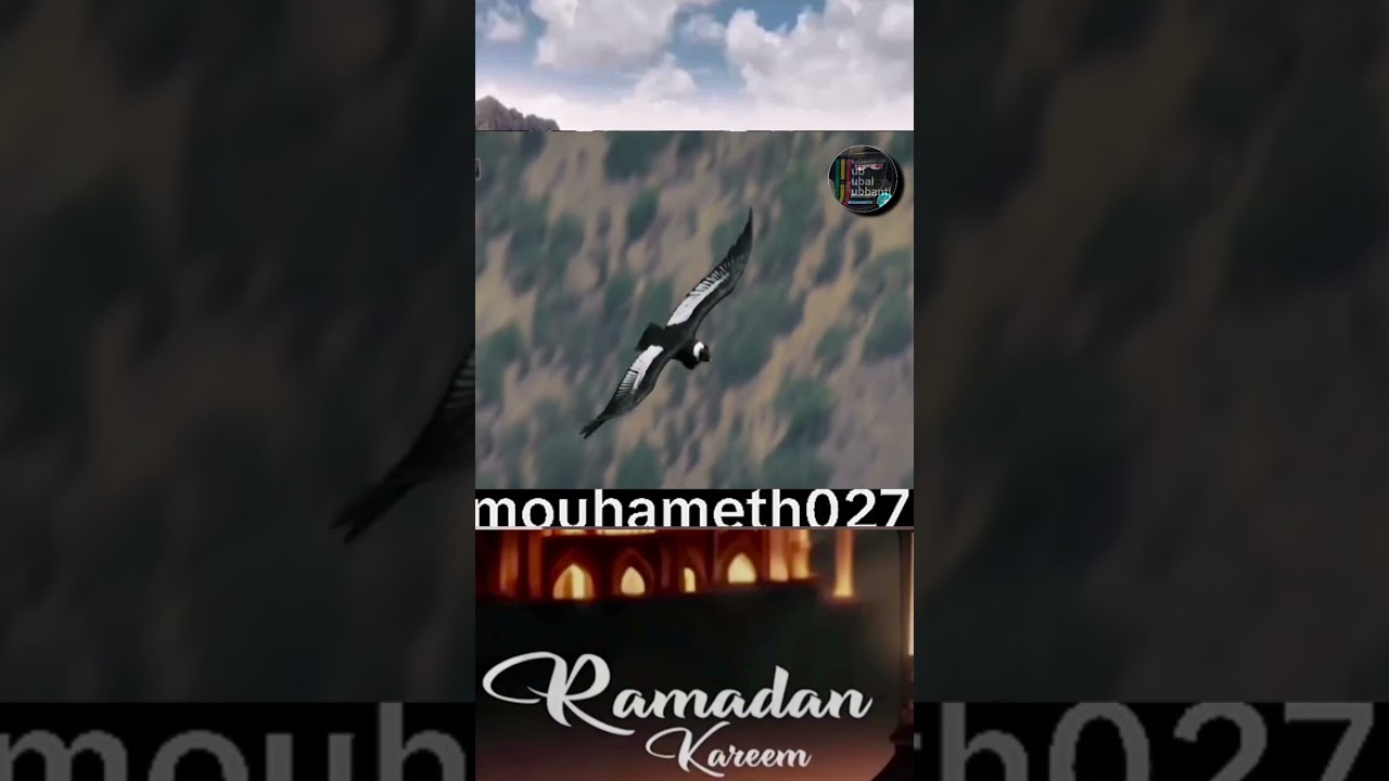 Nouveau générique 2stv coran ramadan 😍