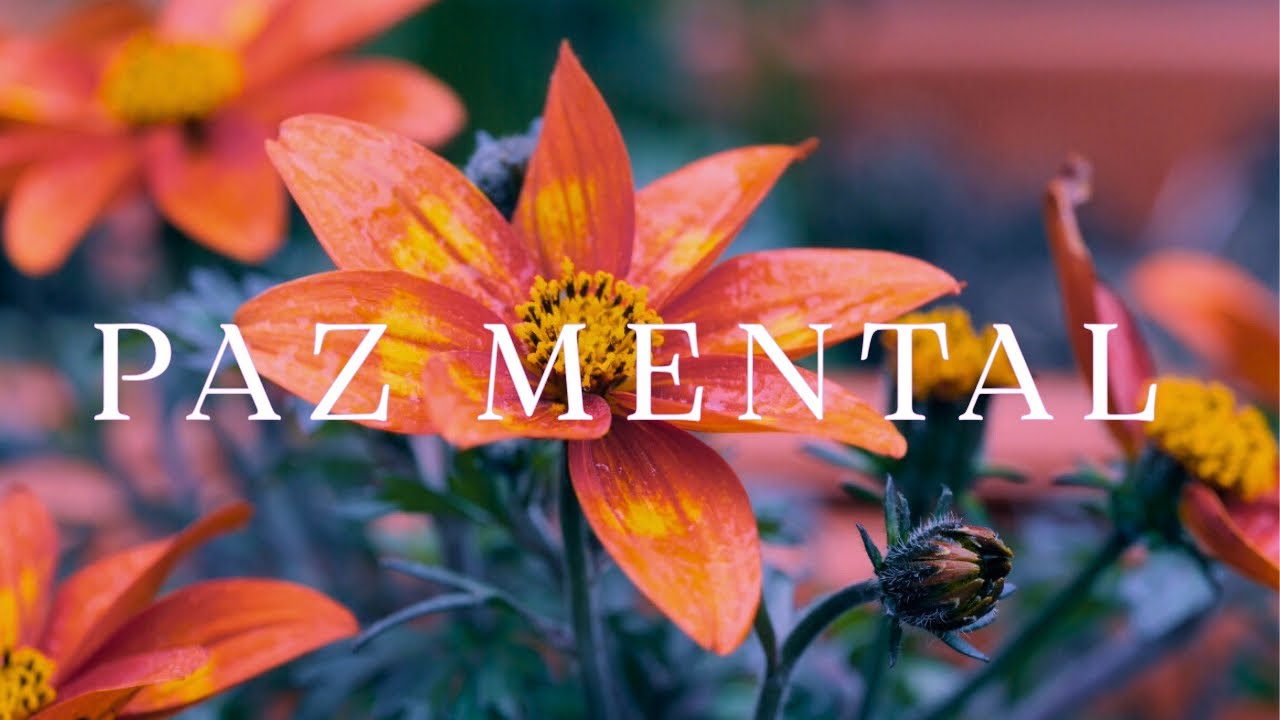 PAZ MENTAL 🧡 M&uacute;sica Relajante para Calmar la Ansiedad y Reducir el Estr&eacute;s