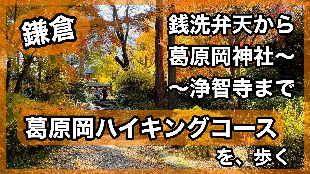 【鎌倉】銭洗弁天から浄智寺まで&ldquo;葛原岡ハイキングコース&rdquo;を歩く🎶✨